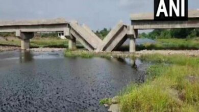 Bridge in Gujarat