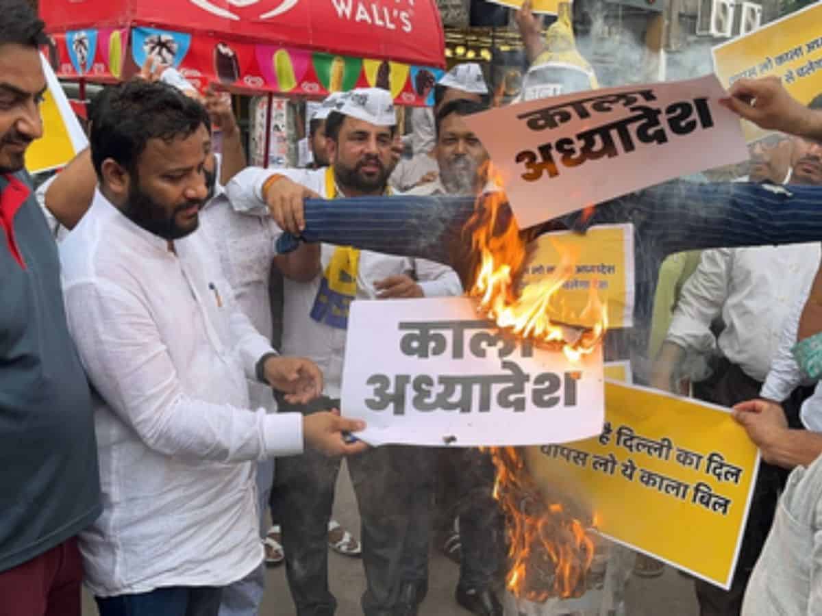 AAP takes to streets, burn effigies of Centre's ordinance