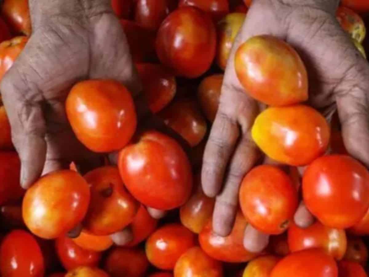 Indian ex-pat in Dubai flies home with 10kg tomatoes in suitcase