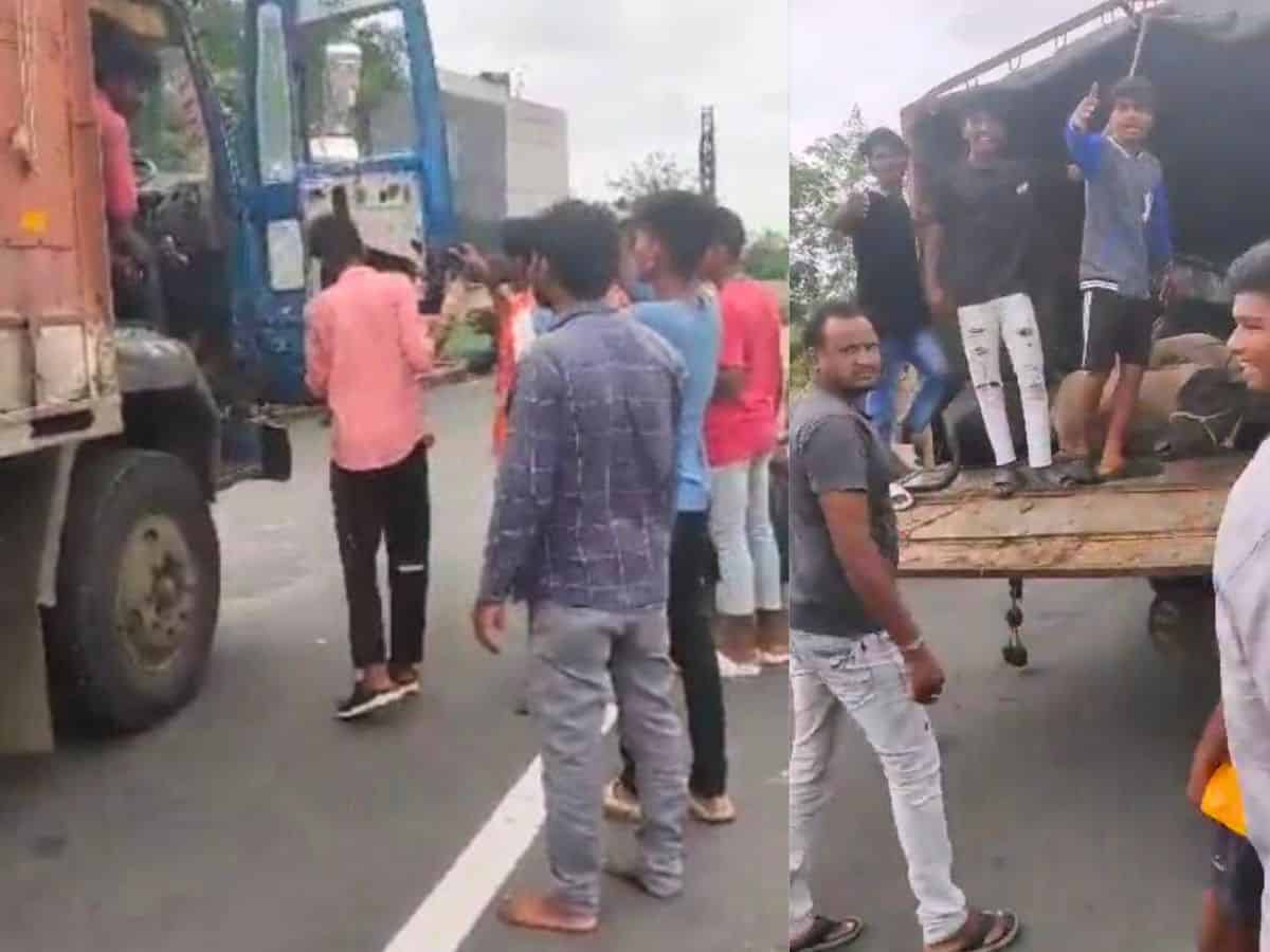 Telangana: Truck carrying castles attacked in Adilabad; cases booked