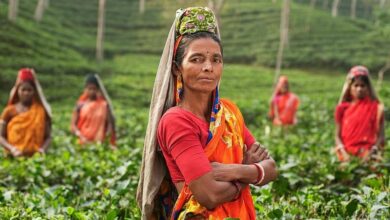 CGIAR, MANAGE join forces to bridge gender gap in agriculture