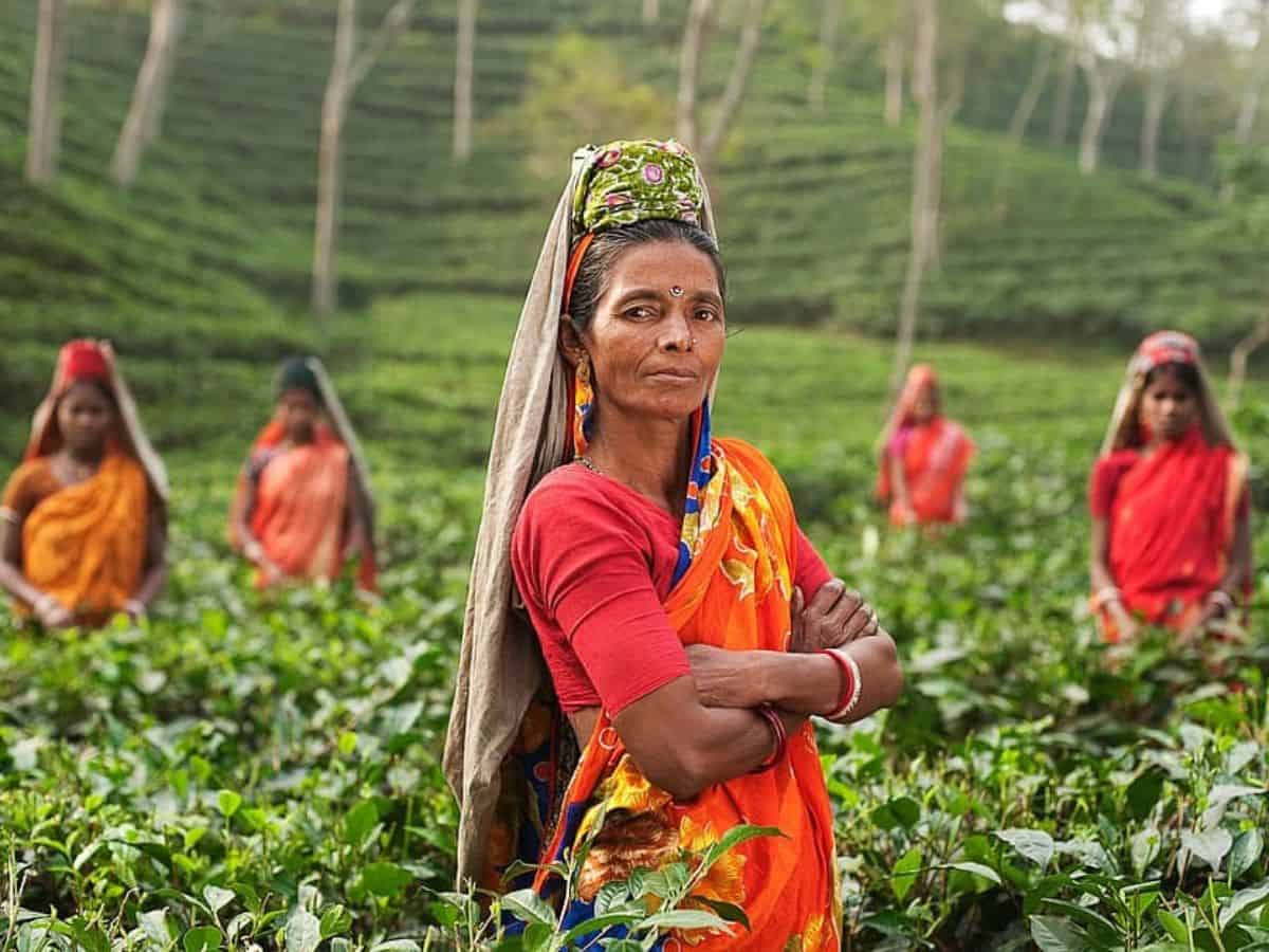 CGIAR, MANAGE join forces to bridge gender gap in agriculture