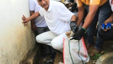Telangana: Harish Rao joins garbage collection, calls for mosquito defence