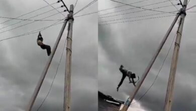 Telangana: Drunken man falls off electric pole in Adilabad