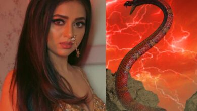 Naagin 7: Tejasswi Prakash out, who is new female lead?