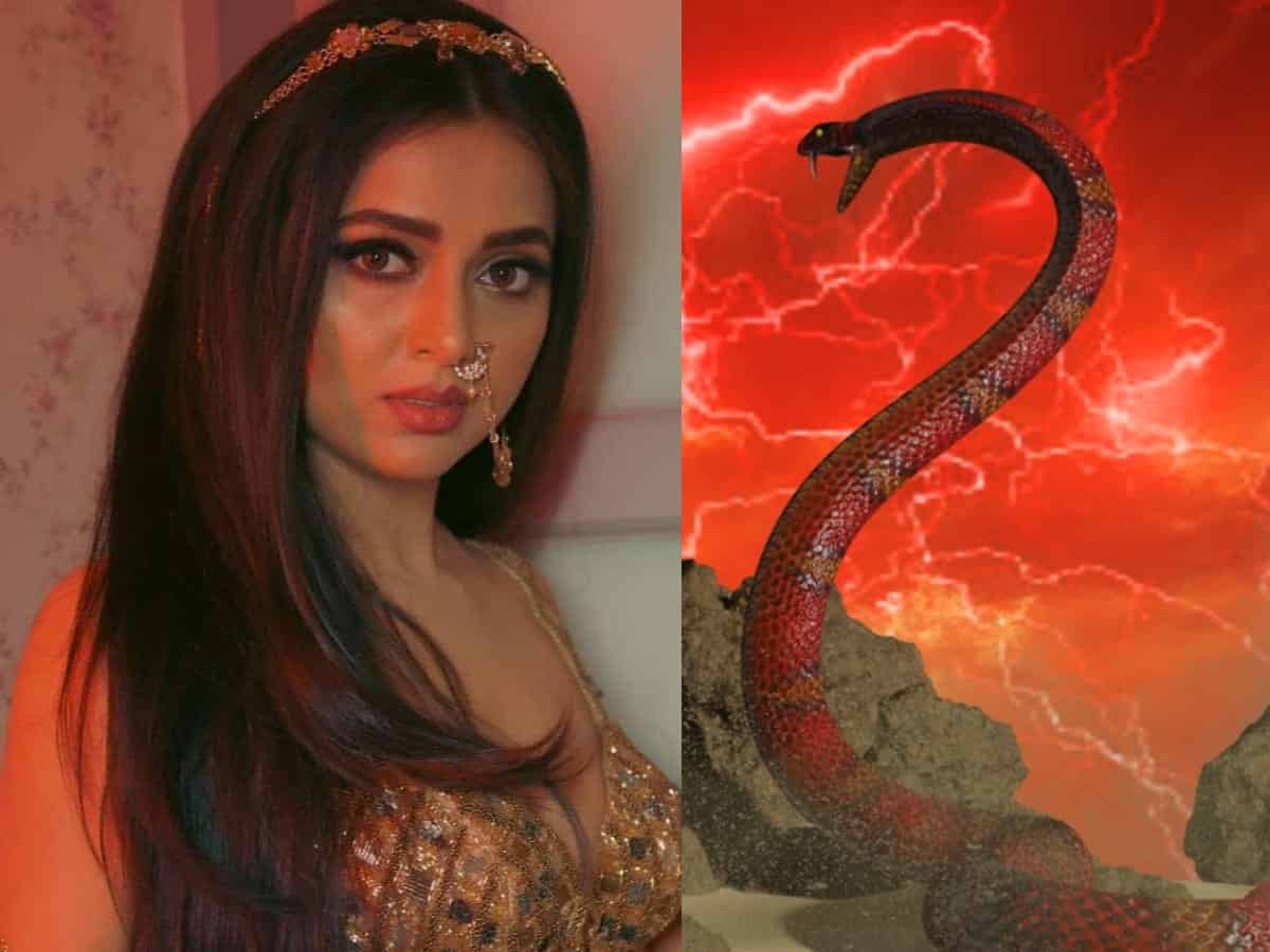 Naagin 7: Tejasswi Prakash out, who is new female lead?