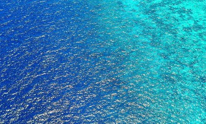 Warming climate changed colour of over 56% world's ocean: Study