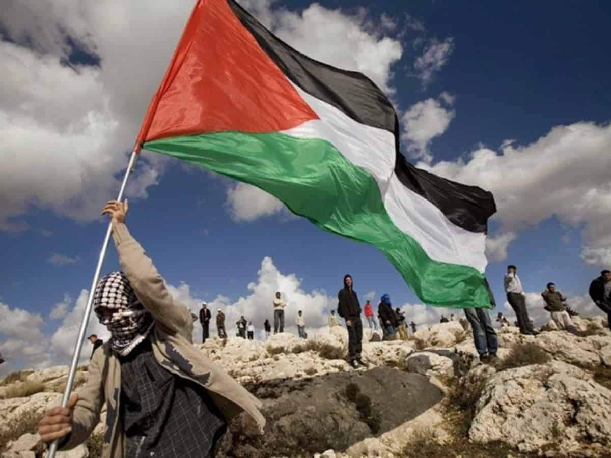 Palestinian crisis gives chance to reform UN: SA minister Pandor