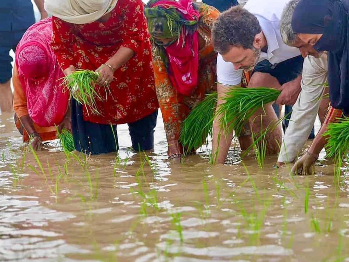 Rahul Gandhi with Farmers in Sonipat