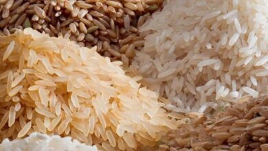 UAE announces temporary ban of rice exports, re-exports including India