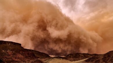 Iran: Over 1,000 seek medical treatment due to sandstorms