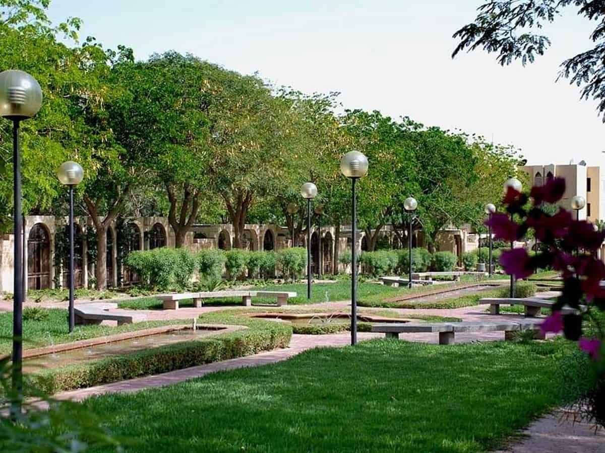 1,350 km water pipes laid to irrigate 7.5M trees in Riyadh