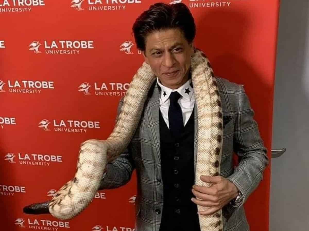 Viral video: Shah Rukh Khan with Python wrapped around his neck