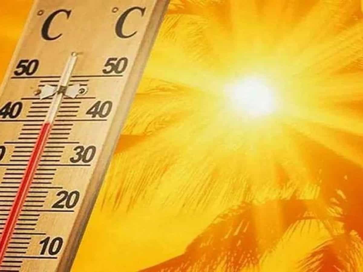 Saudi Arabia expects temperature to rise to 50°C this week