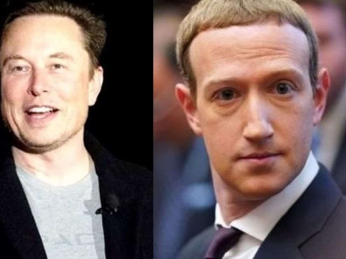 Elon Musk and Mark Zuckerberg on Sunday traded barbs at each other before their upcoming cage fight at an epic location in Italy