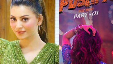 Urvashi Rautela charges BOMB for Pushpa 2 item song?