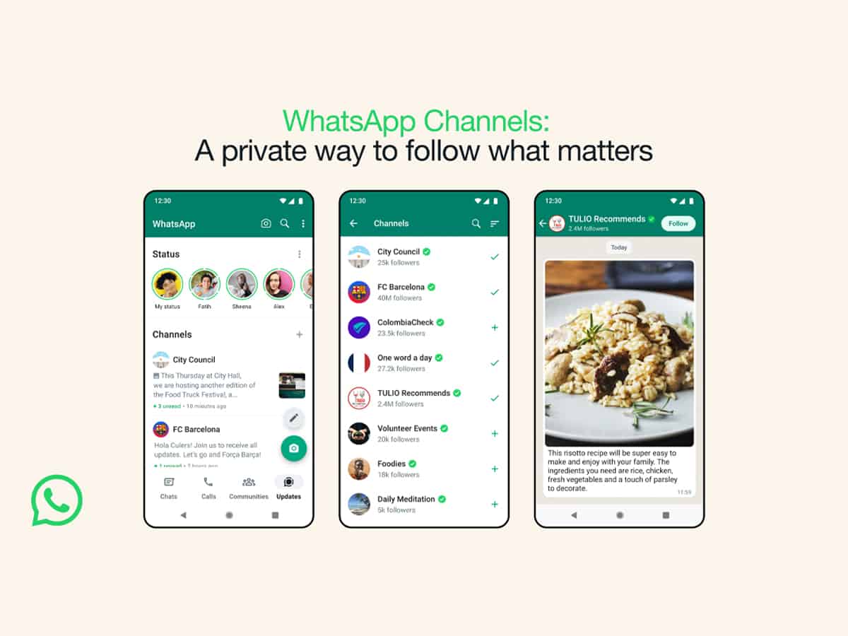 WhatsApp Channels