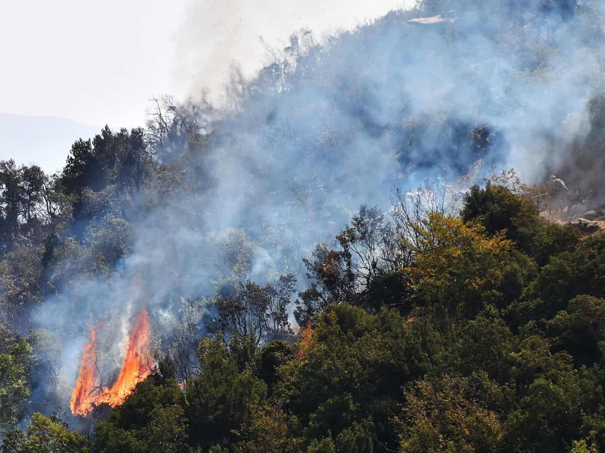 Firefighters battle raging wildfires in Syria amid harsh heat wave