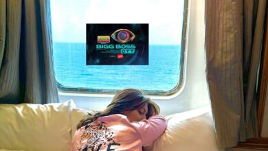 Bigg Boss OTT 2: Name, pic of 2nd wildcard contestant; She is...