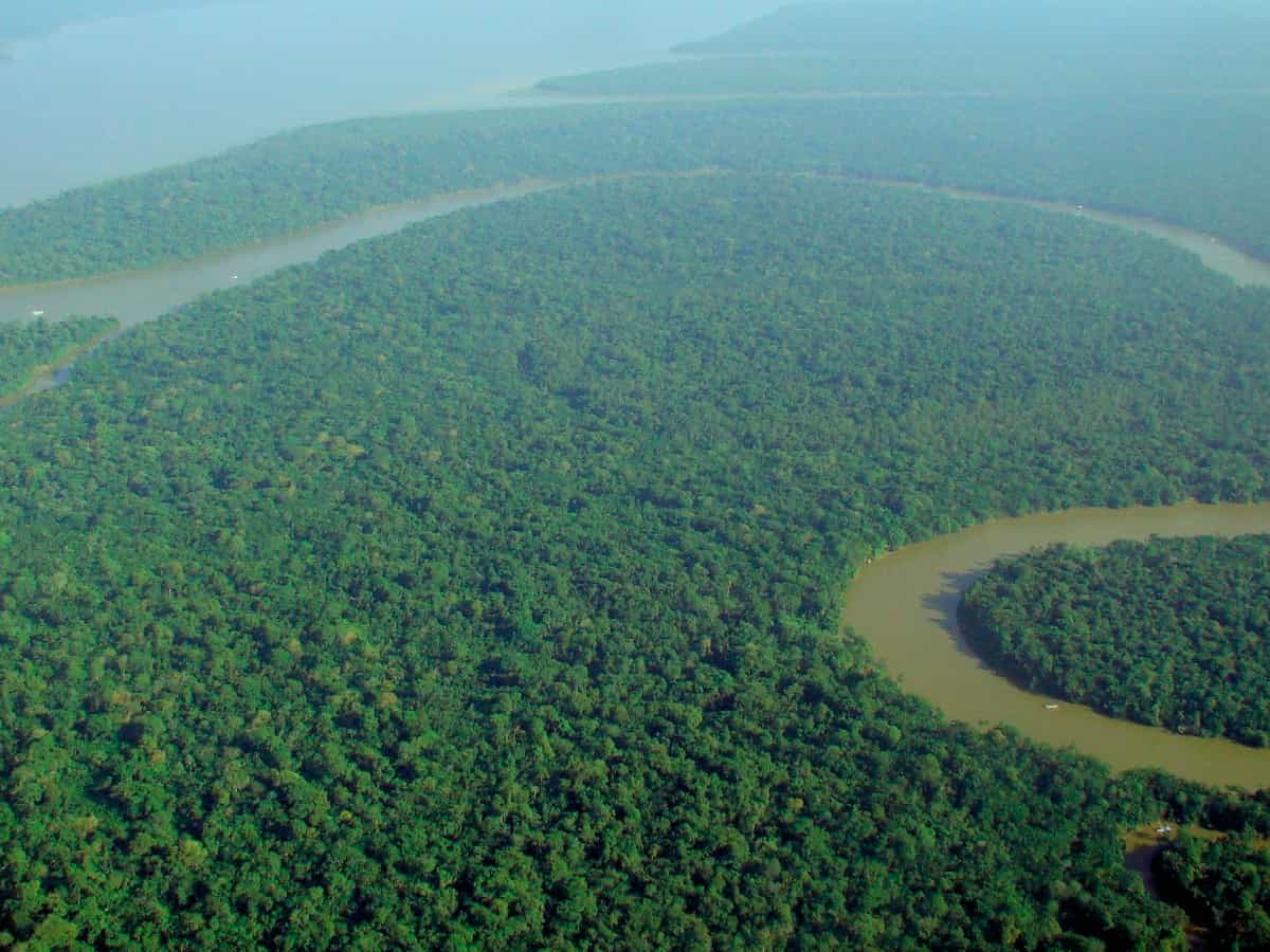 Amazon deforestation down by a third in 2023: Brazil