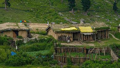 Standalone: Life of nomadic tribes in Kashmir