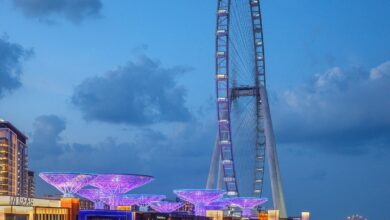 Why did ‘Ain Dubai’ world’s largest wheel mysteriously stop spinning?