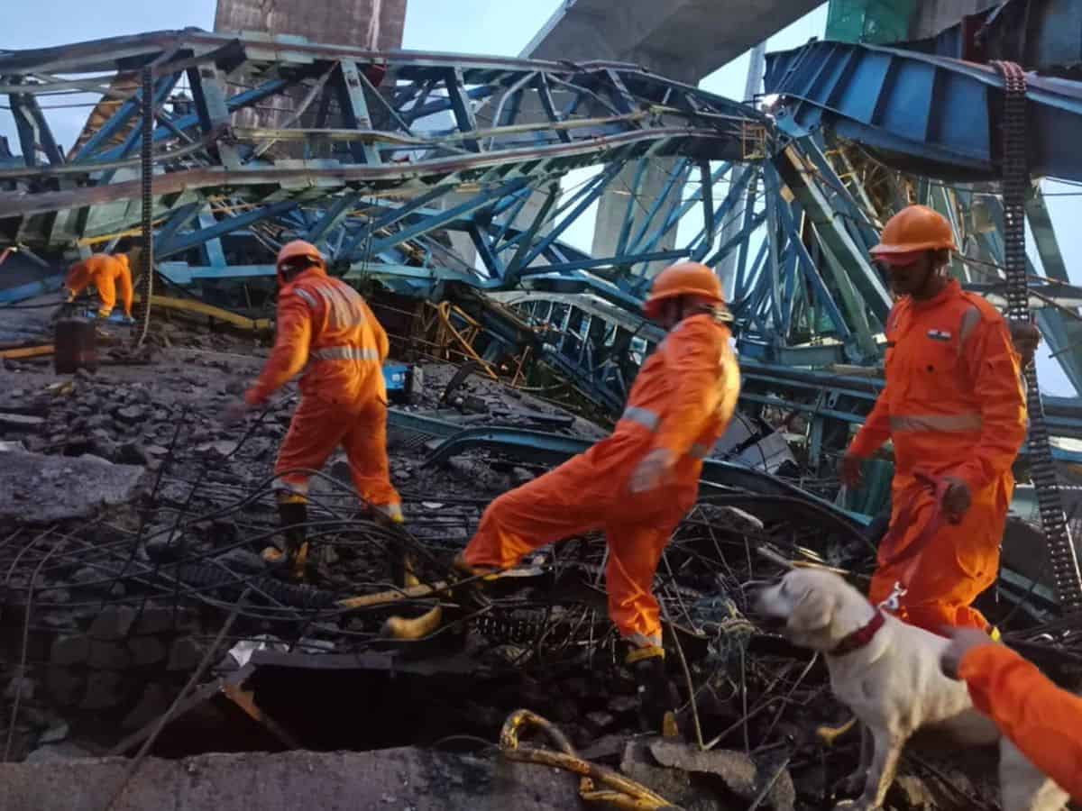 Crane collapses on Samruddhi Expressway