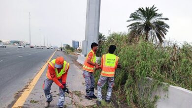 Dubai Municipality responds to 100 emergencies due to rainstorm