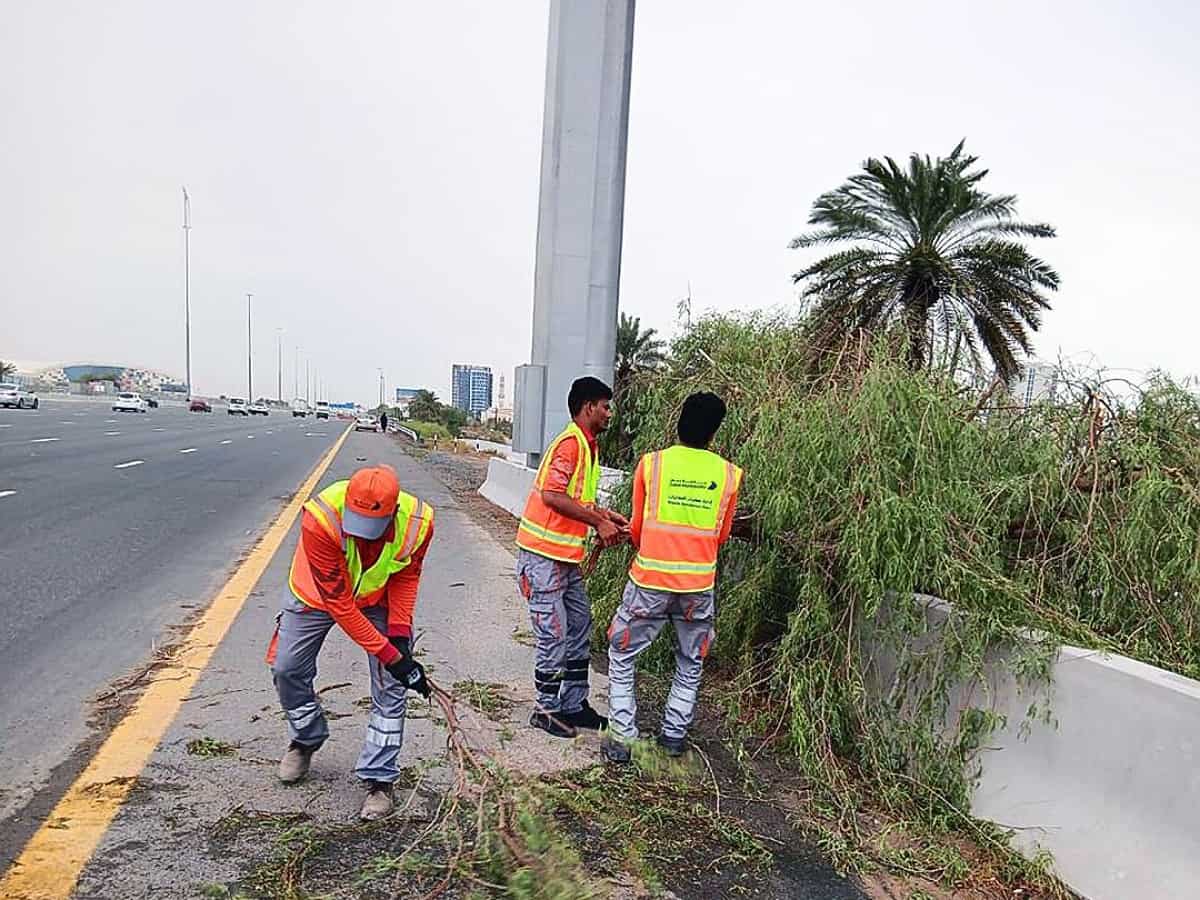 Dubai Municipality responds to 100 emergencies due to rainstorm