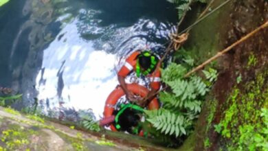 Girl falls into 45-feet deep well, rescued by Goa fire service