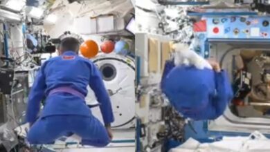 Watch: UAE astronaut shares some of his preferred Jiu Jitsu techniques in space