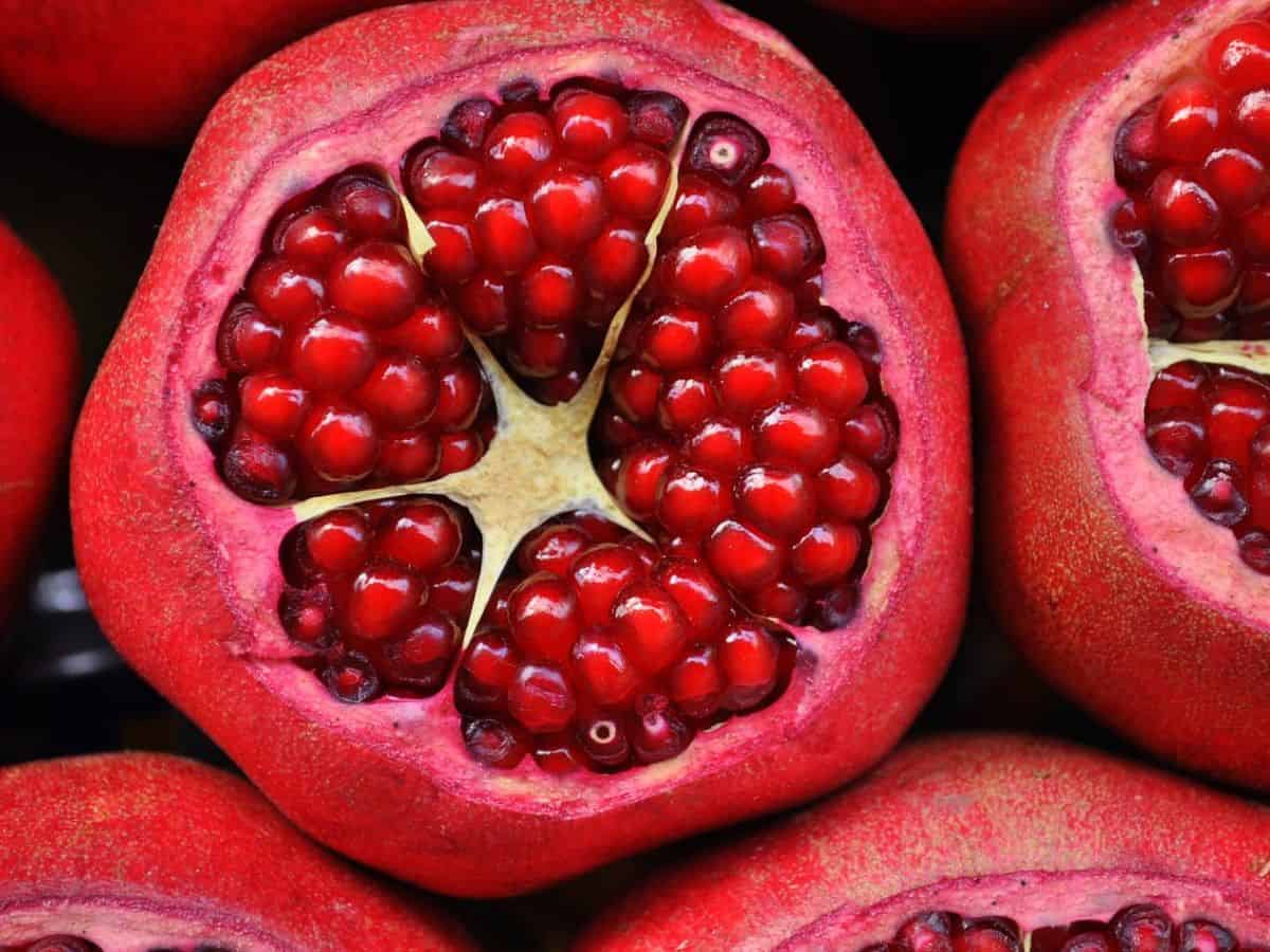 Pomegranate