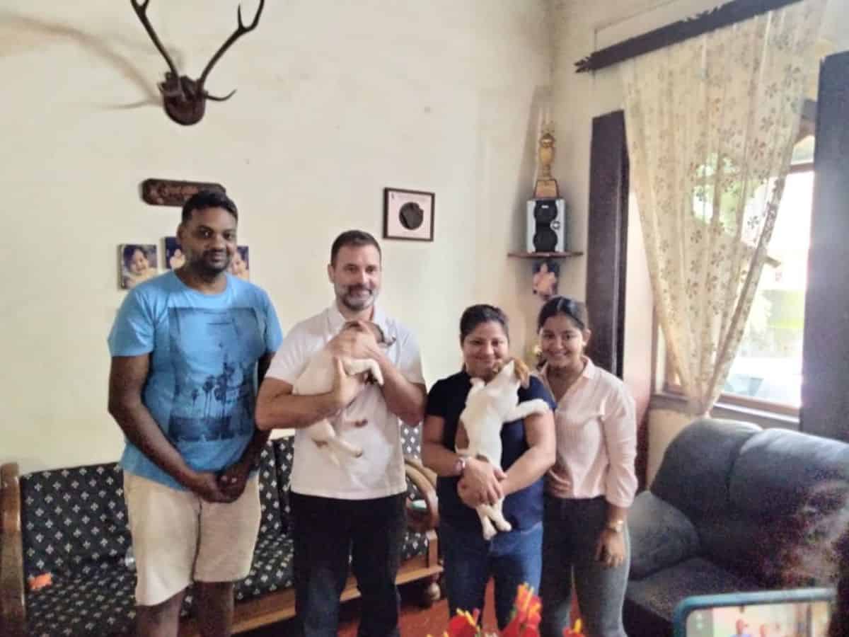 Rahul Gandhi with Puppy
