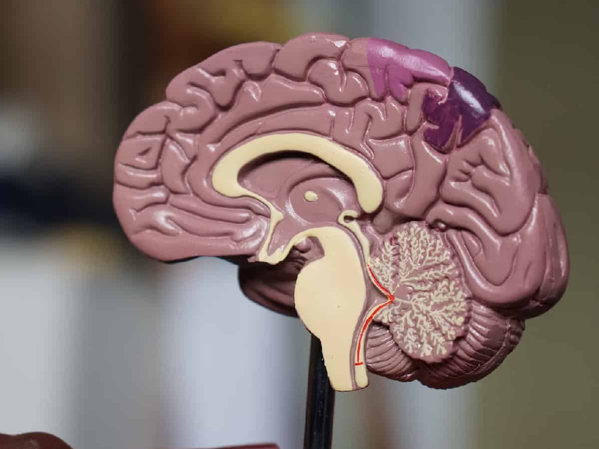 Indian-origin scientists identify 11 risk factors for developing dementia