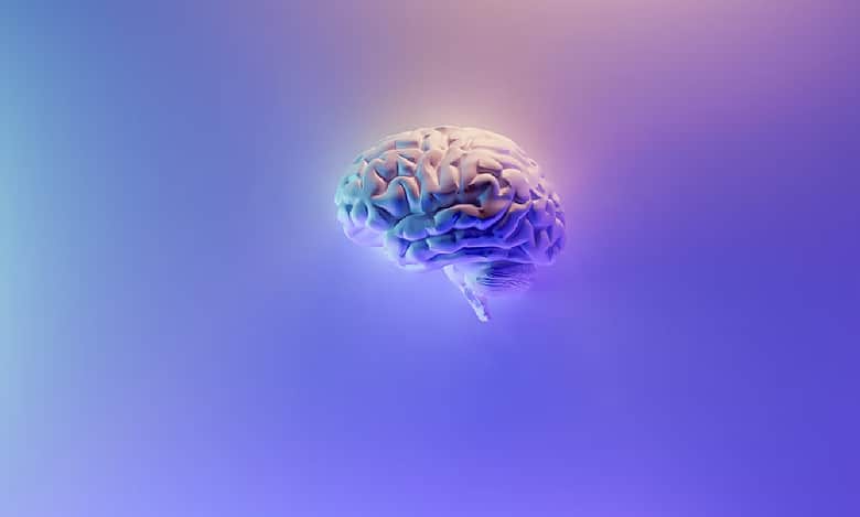 Researchers show how the visual system contributes to memory