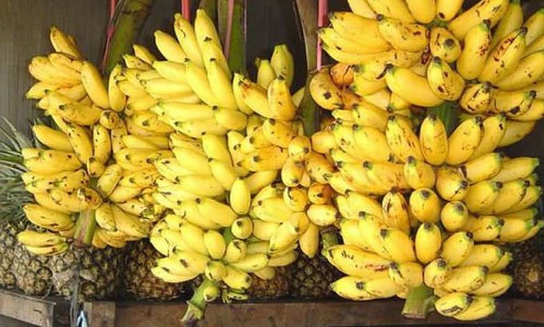 Elaichi banana price surges in Bengaluru, middle class affected