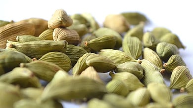 Superfood cardamom may increase appetite, burn fat: Study