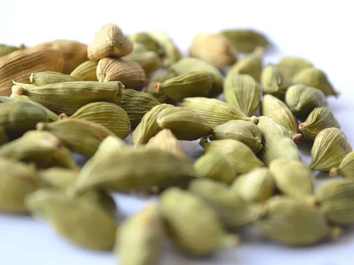Superfood cardamom may increase appetite, burn fat: Study