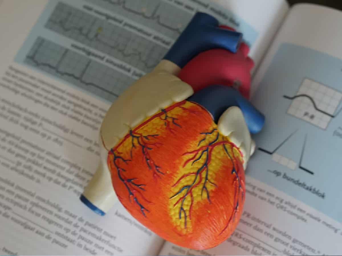 Pain a year after heart attack linked with higher death risk within 8 years