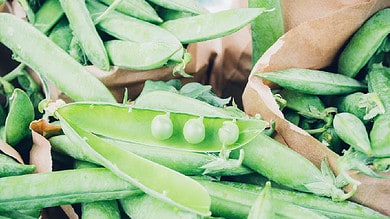 Increasing peas and beans, limiting red meat safe for bone health, protein intake: Study