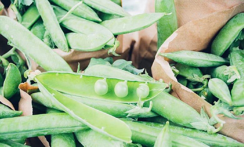 Increasing peas and beans, limiting red meat safe for bone health, protein intake: Study