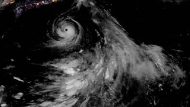 Typhoon Lan makes landfall in Japan