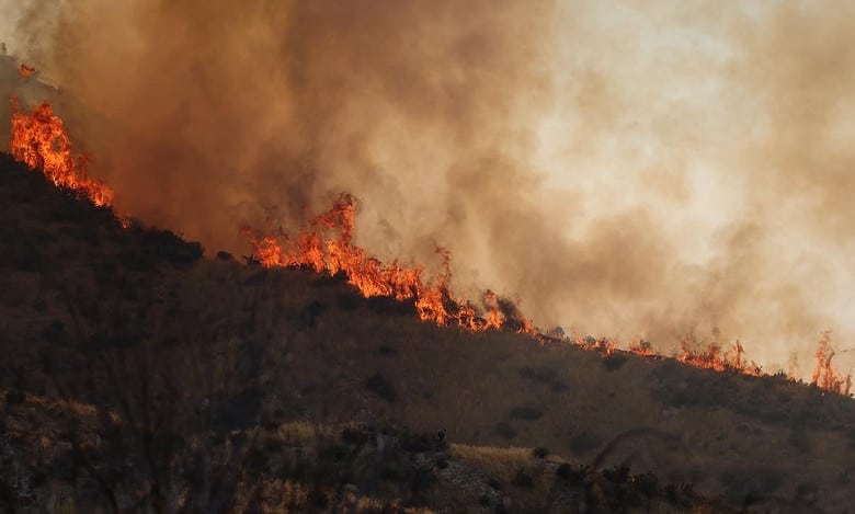 Wildfire raging in California, Nevada spreads to 94,009 acres