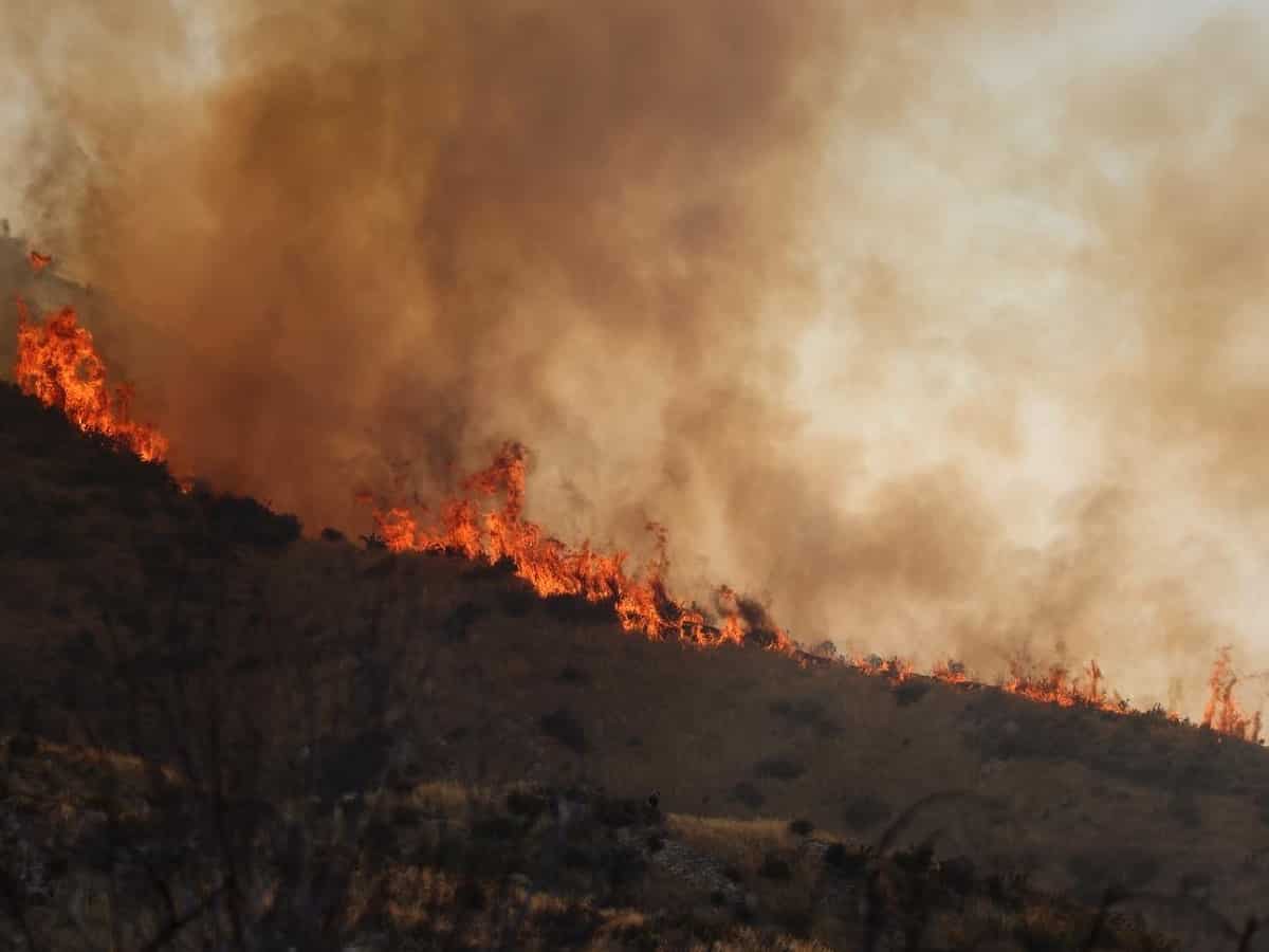 Wildfire raging in California, Nevada spreads to 94,009 acres