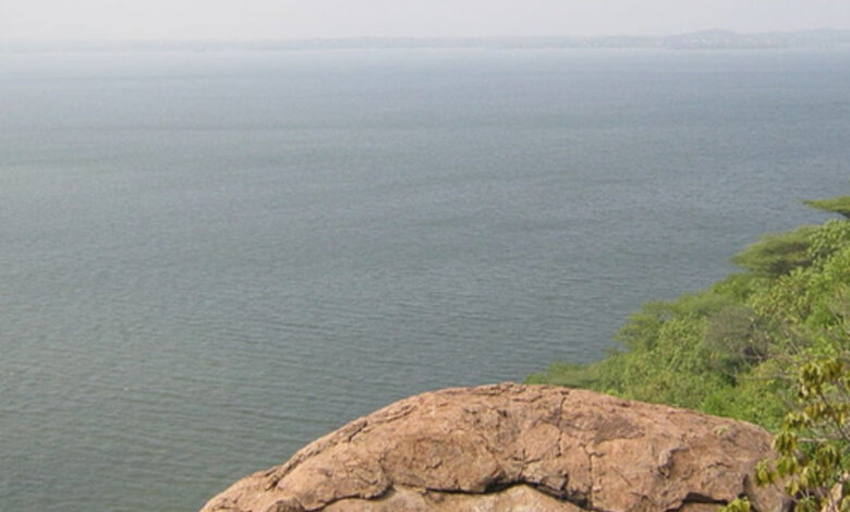 Karnataka BJP leaders of Cauvery basin to meet over water release with TN