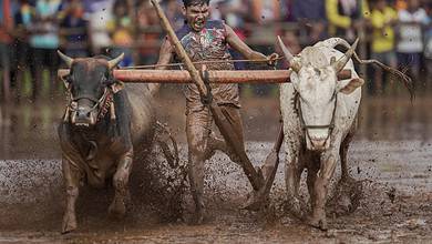 Nangrani festival in Ratnagiri