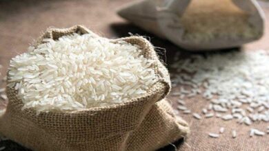 India allows export of 75K tonnes non-basmati rice to UAE