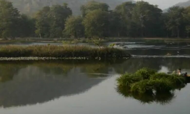 Congress says it is committed to protect state’s interest in Cauvery issue