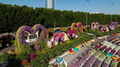 Dubai Miracle Garden reopens with new floral attractions