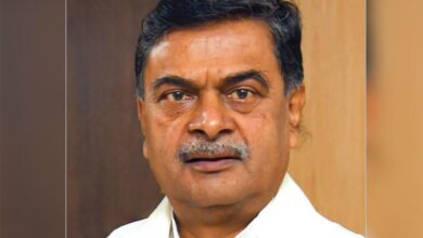 India has emerged as leader in energy transition: Union Min R K Singh